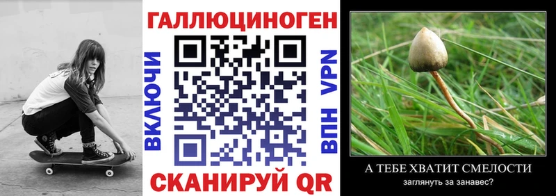 Галлюциногенные грибы Magic Shrooms  гидра tor  Сясьстрой 